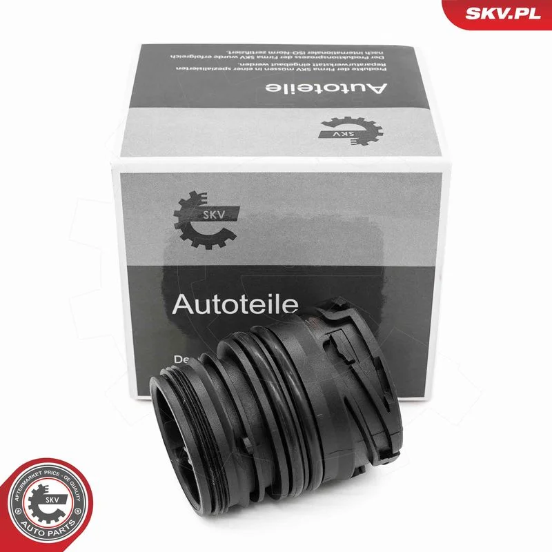 Kryt zástrčky, riadiaca jednotka automatickej prevodovky ESEN SKV 96SKV415