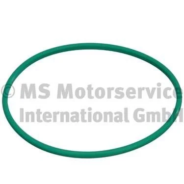 Seal, fuel tank cap PIERBURG 3.32038.01.0