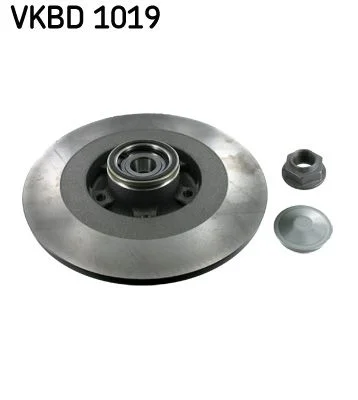 Stabdžių diskas SKF VKBD1019