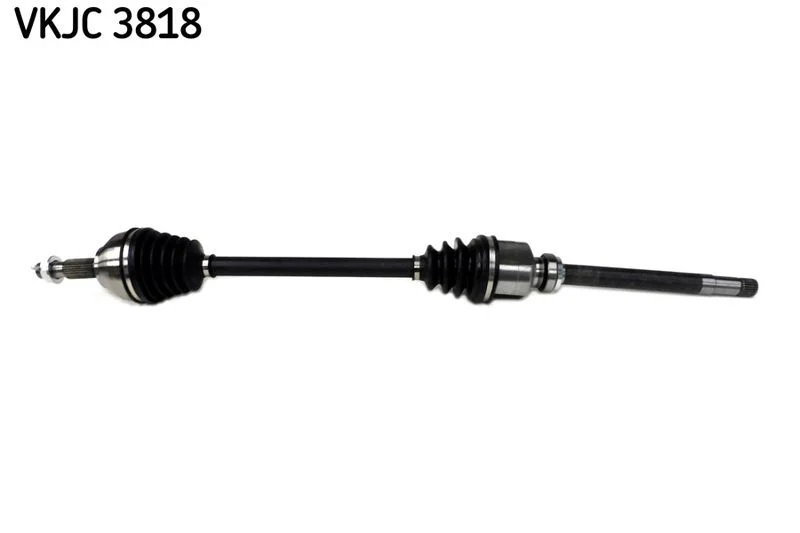 Pusašis VKJC 3818