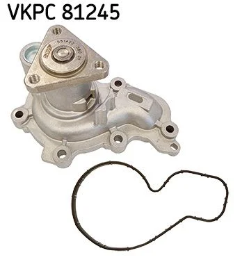 Vandens siurblys, variklio aušinimas SKF VKPC 81245