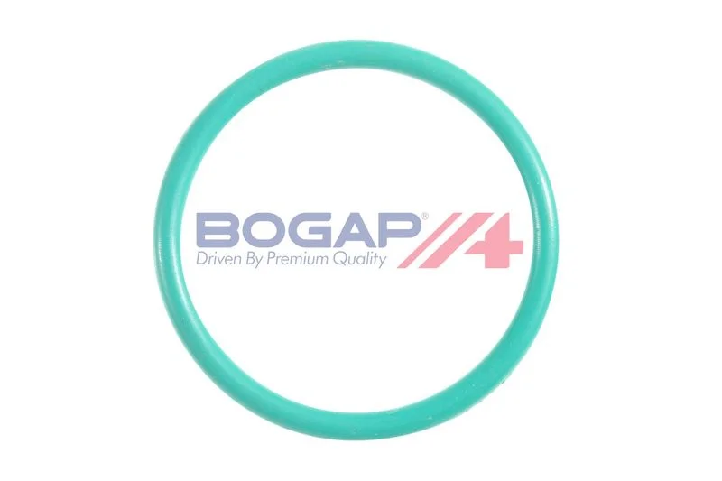 Tarpiklis bogap A1928102