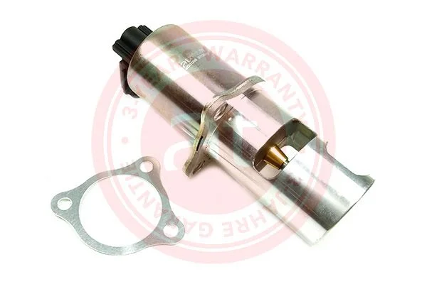 EGR Valve at autoteile germany at21008
