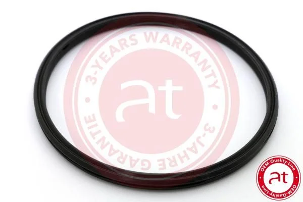 Tarpiklis, turbinos oro žarna at autoteile germany at23806