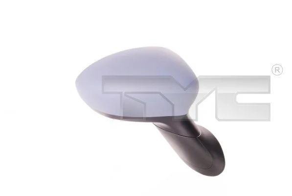 Exterior Mirror TYC 309-0101