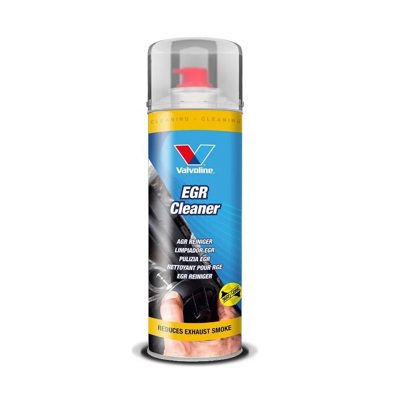 Universalus variklis EGR CLEANER  887071