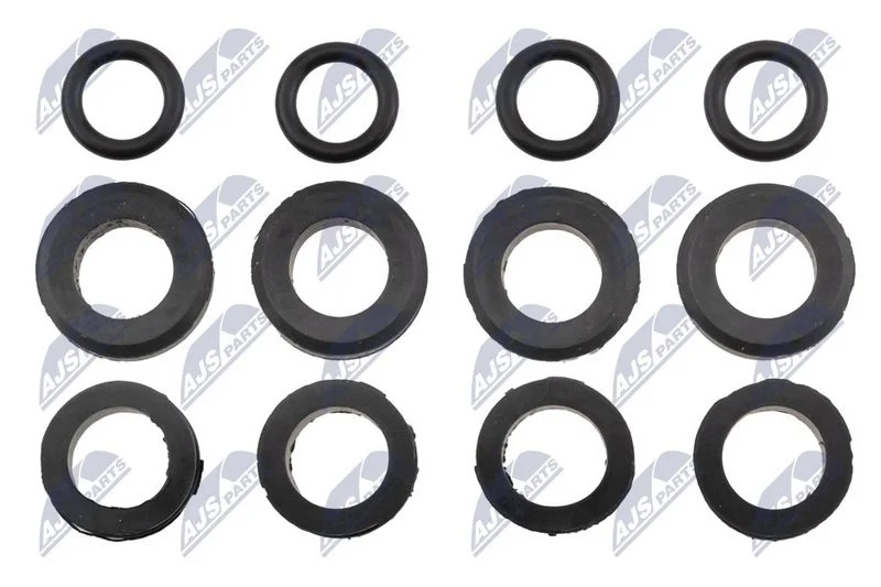 Seal Ring, injector NTY BWP-MZ-001