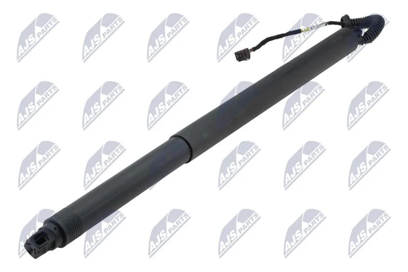 Electric Motor, tailgate NTY AE-SK-034