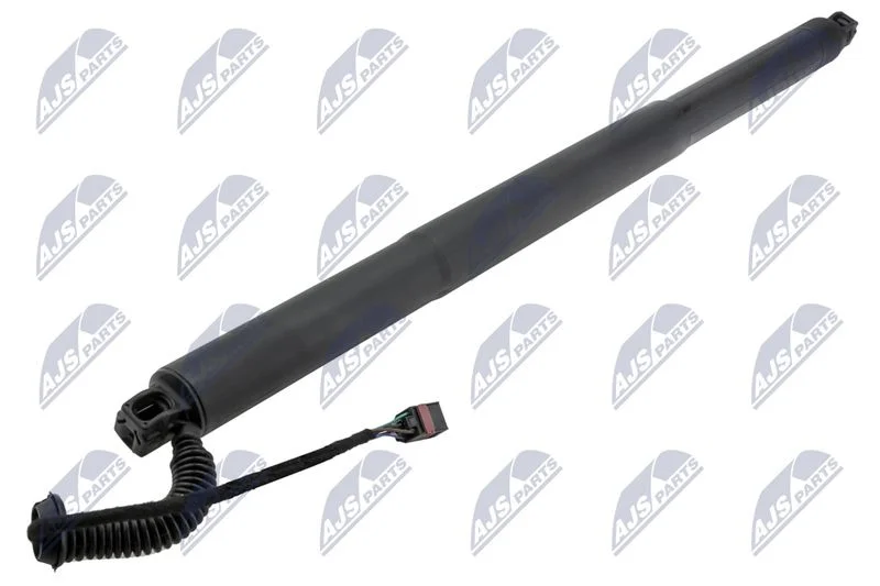 Electric Motor, tailgate NTY AE-SK-036