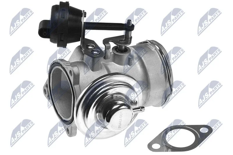 EGR Valve NTY EGR-AU-001