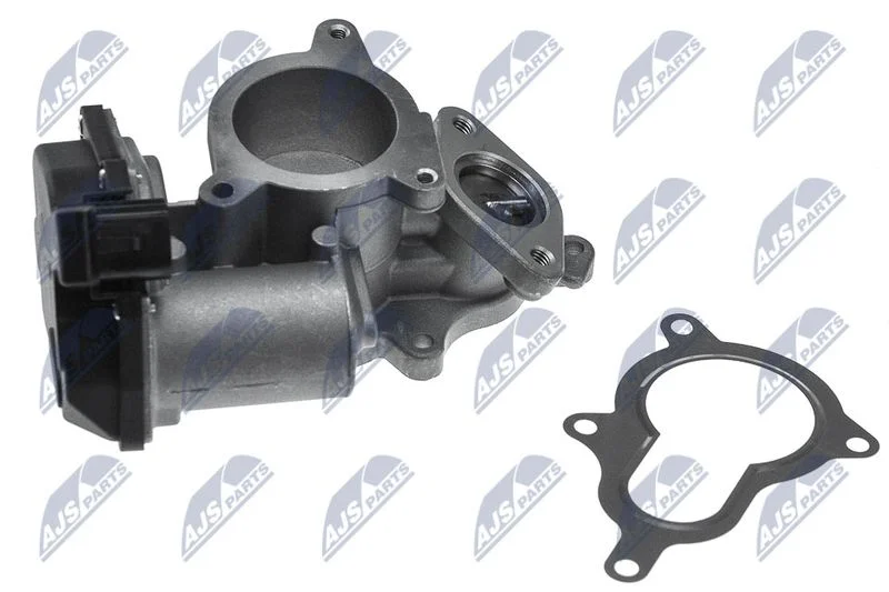 EGR Valve NTY EGR-AU-005