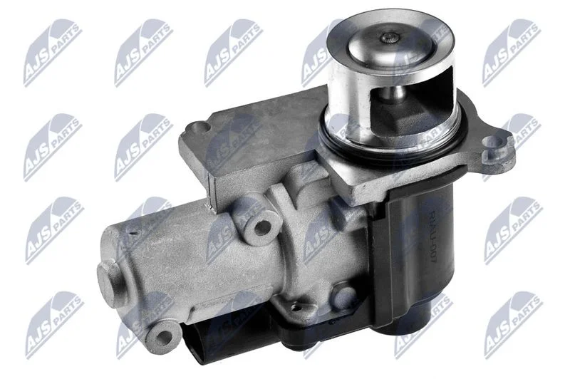 EGR Valve NTY EGR-AU-007