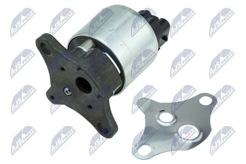 EGR Valve NTY EGR-CH-008