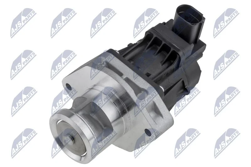 EGR Valve NTY EGR-CH-010