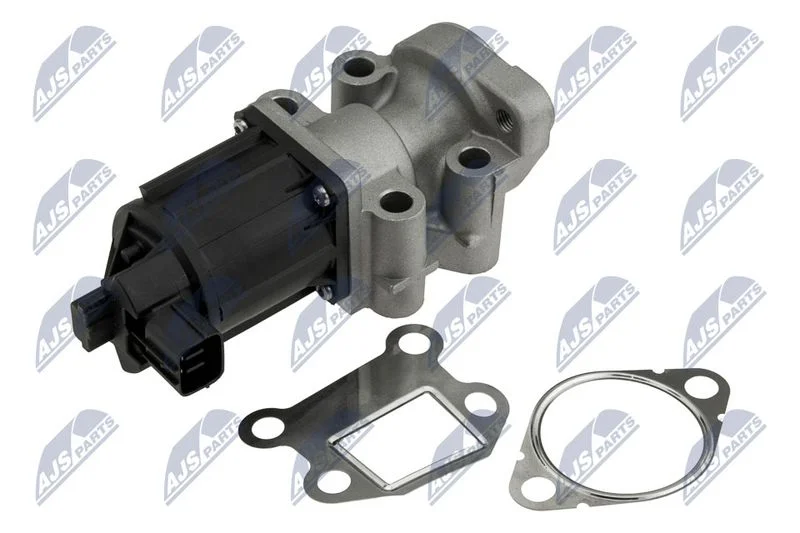 EGR Valve NTY EGR-MS-007