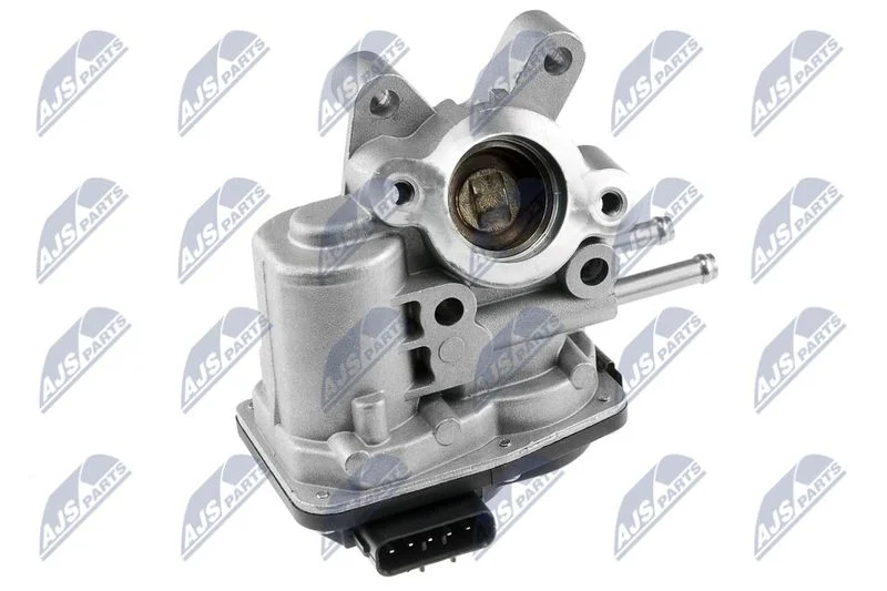 EGR ventil NTY EGR-NS-000