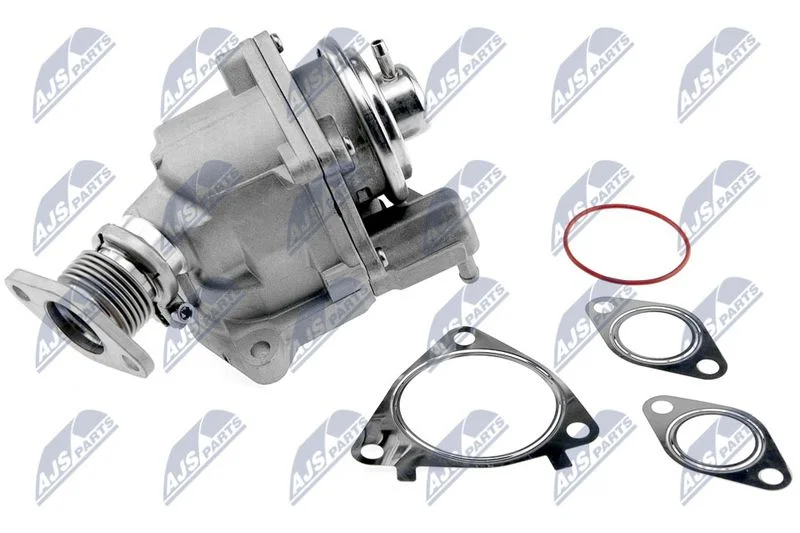 EGR Valve NTY EGR-PE-003