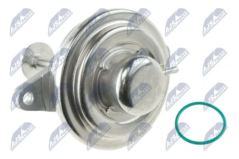 EGR Valve NTY EGR-PL-002