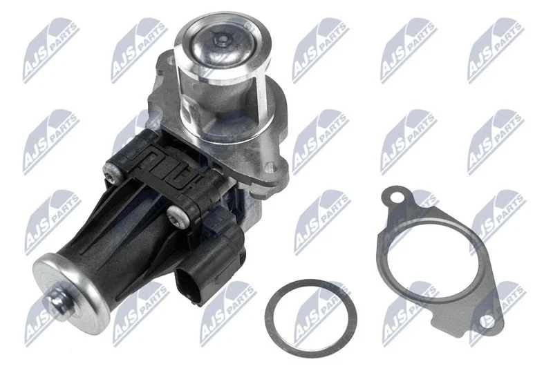 EGR Valve NTY EGR-PL-012