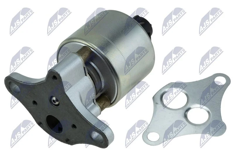 EGR Valve NTY EGR-PL-025