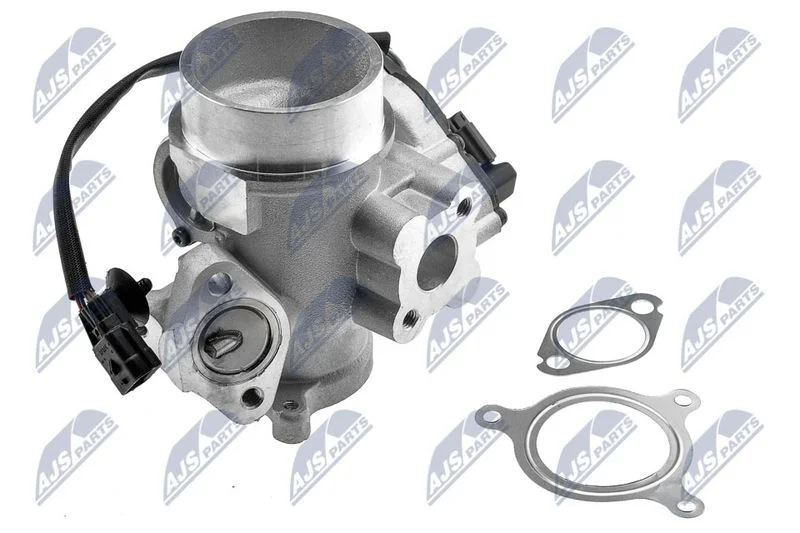 EGR Valve NTY EGR-RE-012
