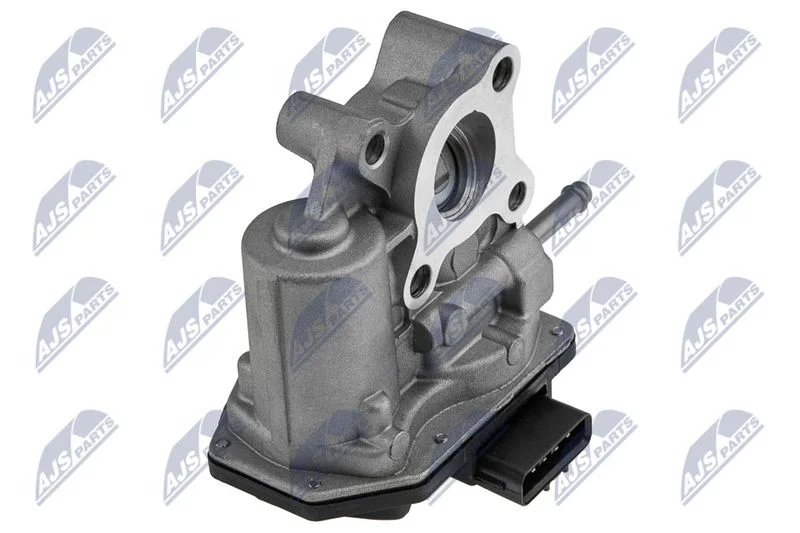 EGR Valve NTY EGR-TY-005
