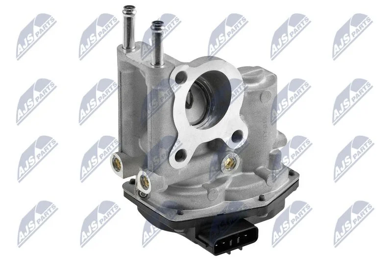 EGR Valve NTY EGR-TY-011