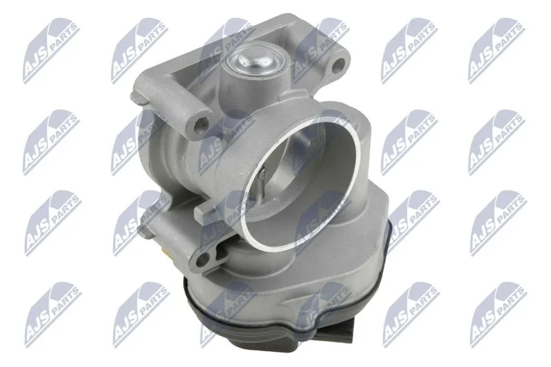 Throttle Body NTY ETB-FR-002