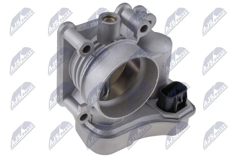 Throttle Body NTY ETB-PL-011