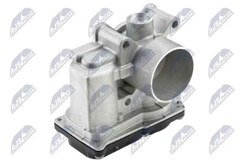 Throttle Body NTY ETB-RE-004