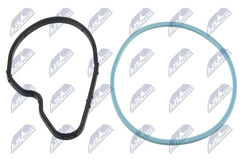 Seal Ring, nozzle holder NTY PVP-PL-000