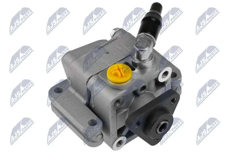 Hydraulic Pump, steering NTY SPW-BM-003
