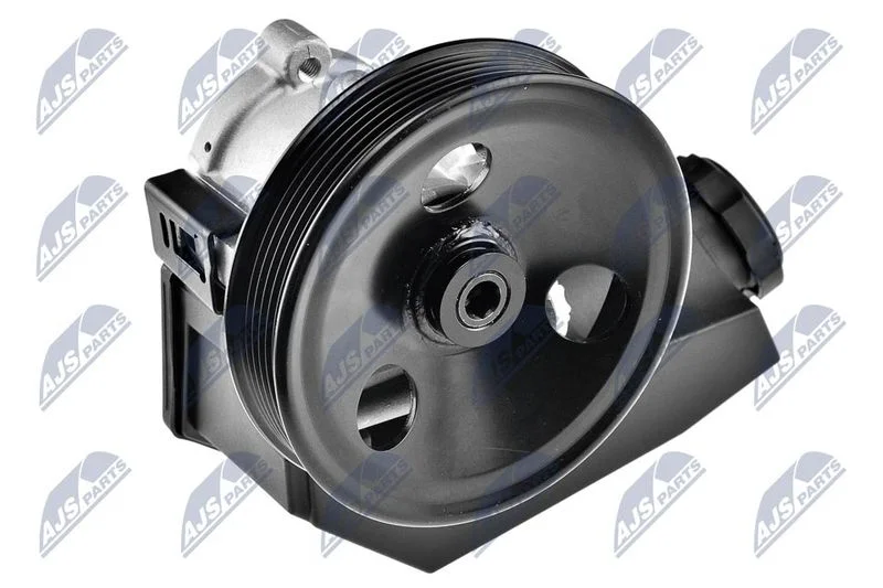 Hydraulic Pump, steering NTY SPW-CH-000