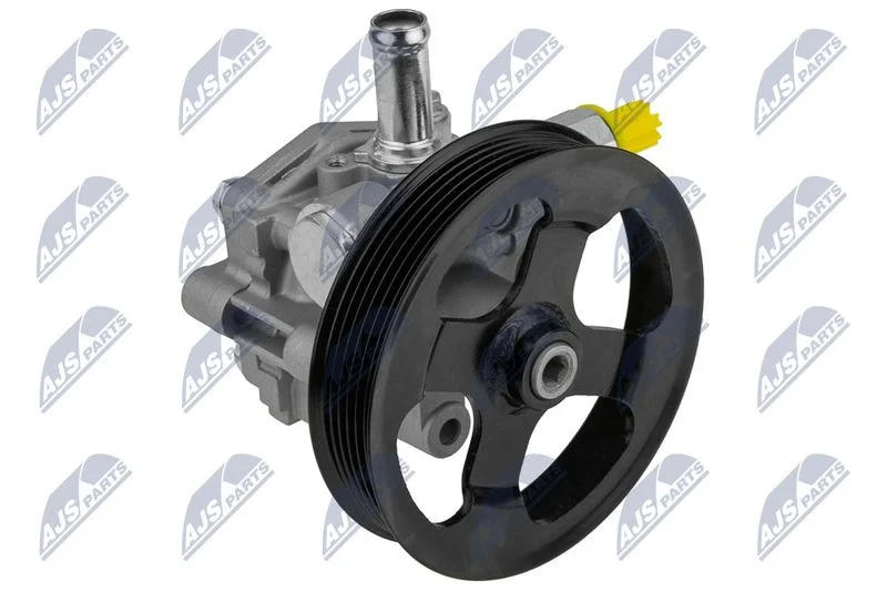 Hydraulic Pump, steering NTY SPW-CH-005