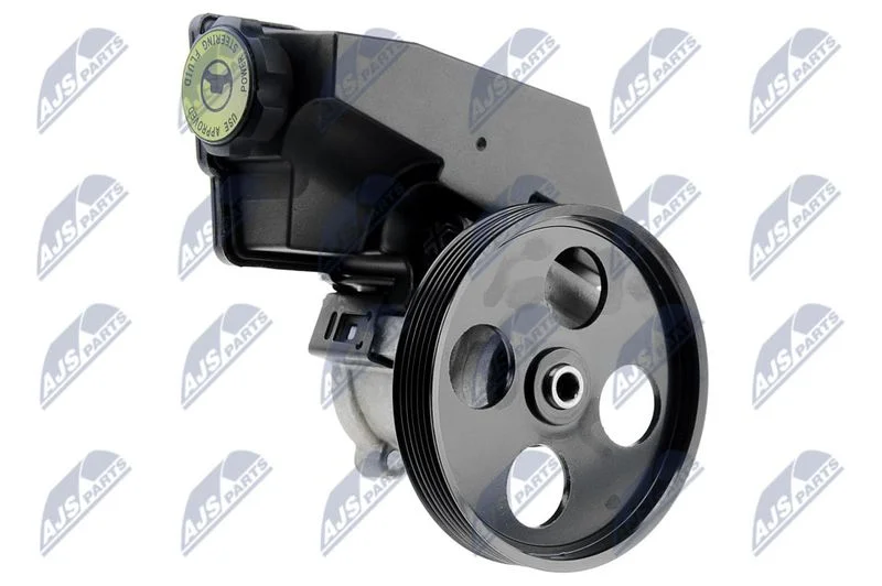 Hydraulic Pump, steering NTY SPW-CH-012