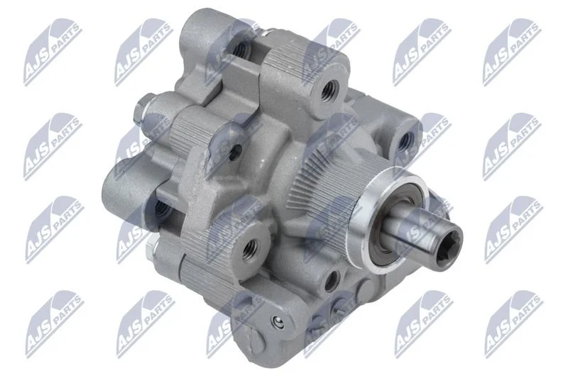 Hydraulic Pump, steering NTY SPW-CH-061