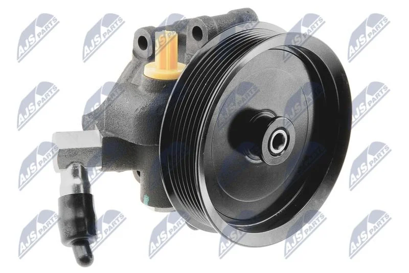 Hydraulic Pump, steering NTY SPW-FR-016