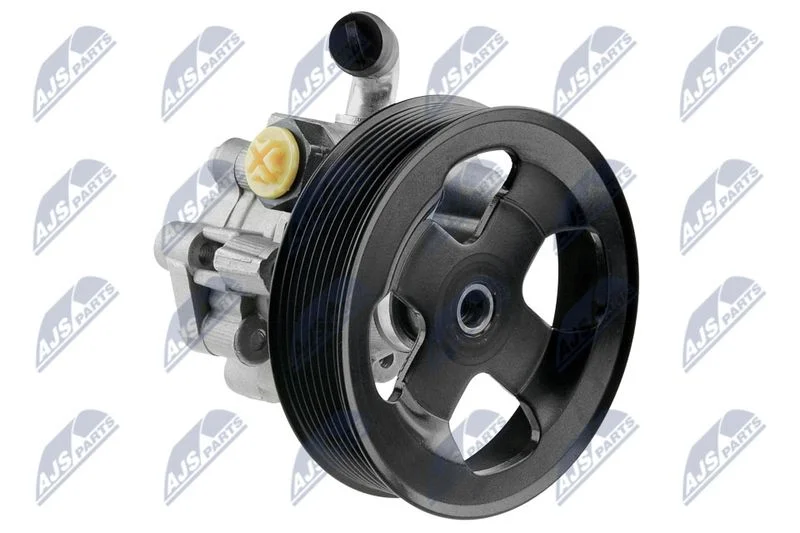 Hydraulic Pump, steering NTY SPW-LR-007