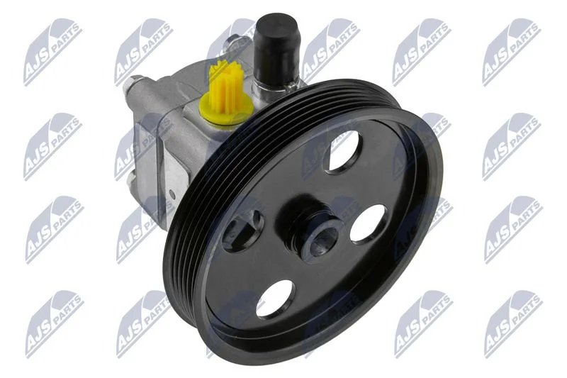 Hydraulic Pump, steering NTY SPW-VV-004