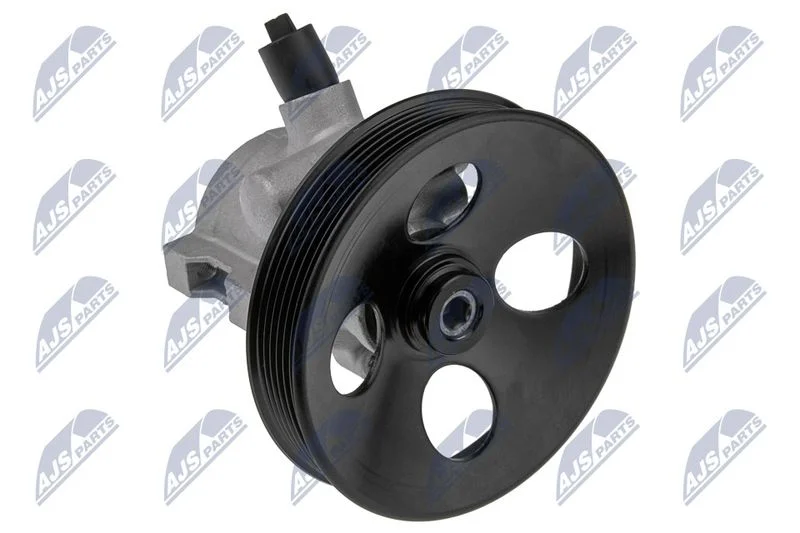 Hydraulic Pump, steering NTY SPW-VV-005
