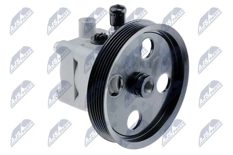 Hydraulic Pump, steering NTY SPW-VV-008