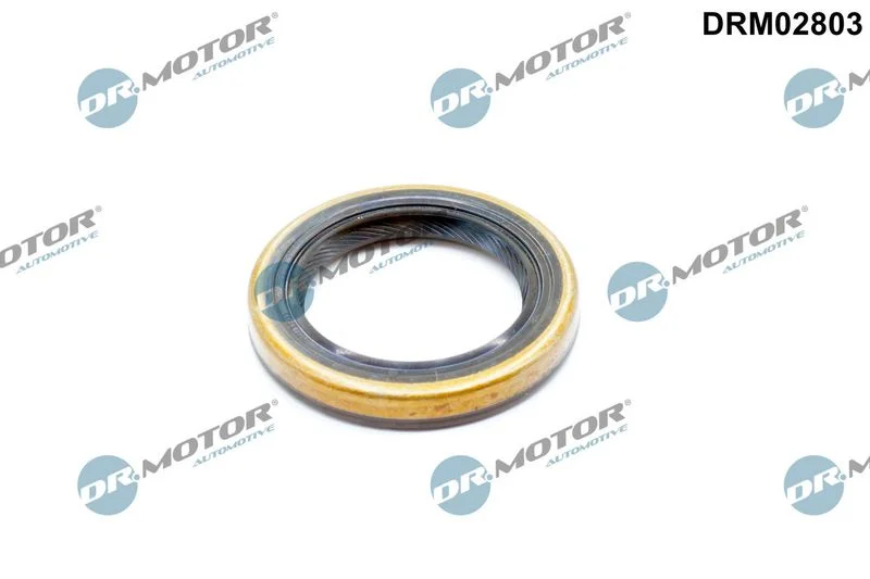 Shaft Seal, differential DR MOTOR DRM02803