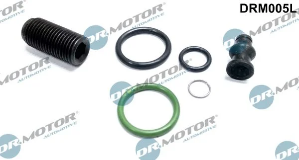 Repair Kit, unit injector Dr.Motor Automotive DRM005L