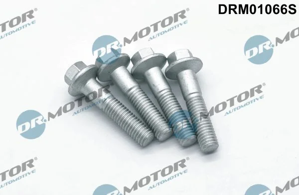 Screw, injection nozzle holder Dr.Motor Automotive DRM01066S