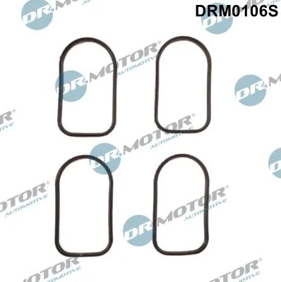 Sada tesnení, sacie potrubie Dr.Motor Automotive DRM0106S