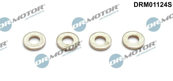 Heat Shield, injection system Dr.Motor Automotive DRM01124S