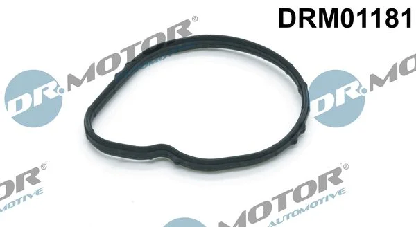 Tesnenie, termostat Dr.Motor Automotive DRM01181