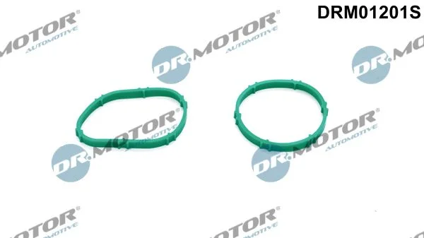 Sada tesnení, sacie potrubie Dr.Motor Automotive DRM01201S