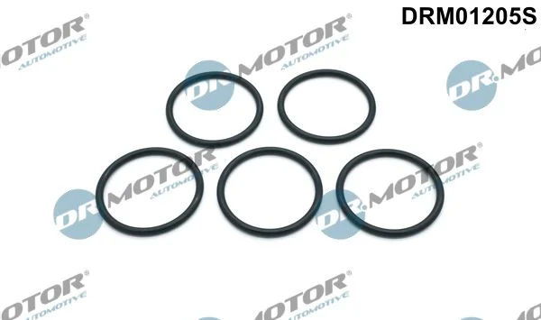 Gasket Set, water pump Dr.Motor Automotive DRM01205S