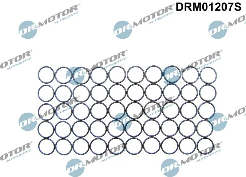Tesniaci krúžok, držiak trysky Dr.Motor Automotive DRM01207S